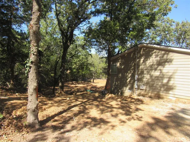 a view of a yard with plants and trees