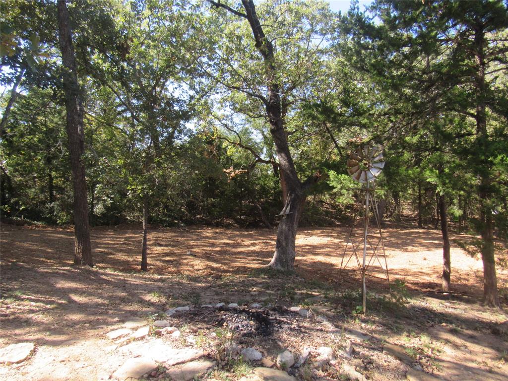 40 Cleveland Avenue Pottsboro, TX 75076 - Photo 5 of 29 a view of a yard with a tree