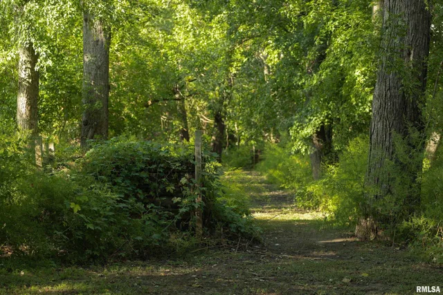 $299,000 | 110 East Co Road 150, Warsaw, IL 62379