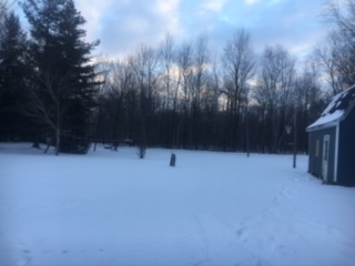 4112 North Flajole Road Rhodes, MI 48652 - Photo 5 of 16 1827334-4.JPG