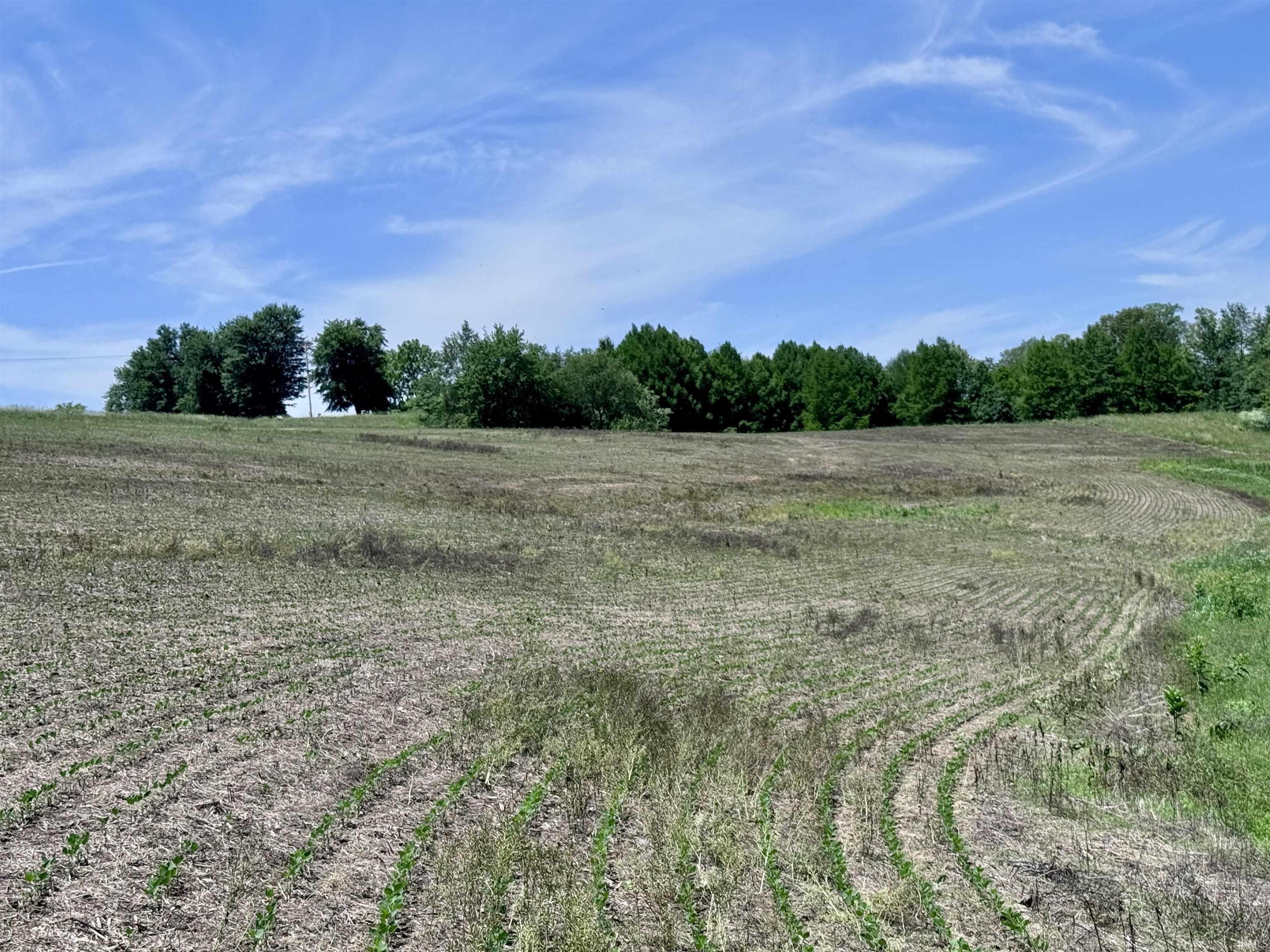 Off Ziegler Road Loogootee, IN 47553 - Photo 20 of 29
