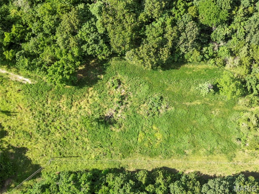 9-acres Timber Ridge Drive Marthasville, MO 63357 - Photo 4 of 22