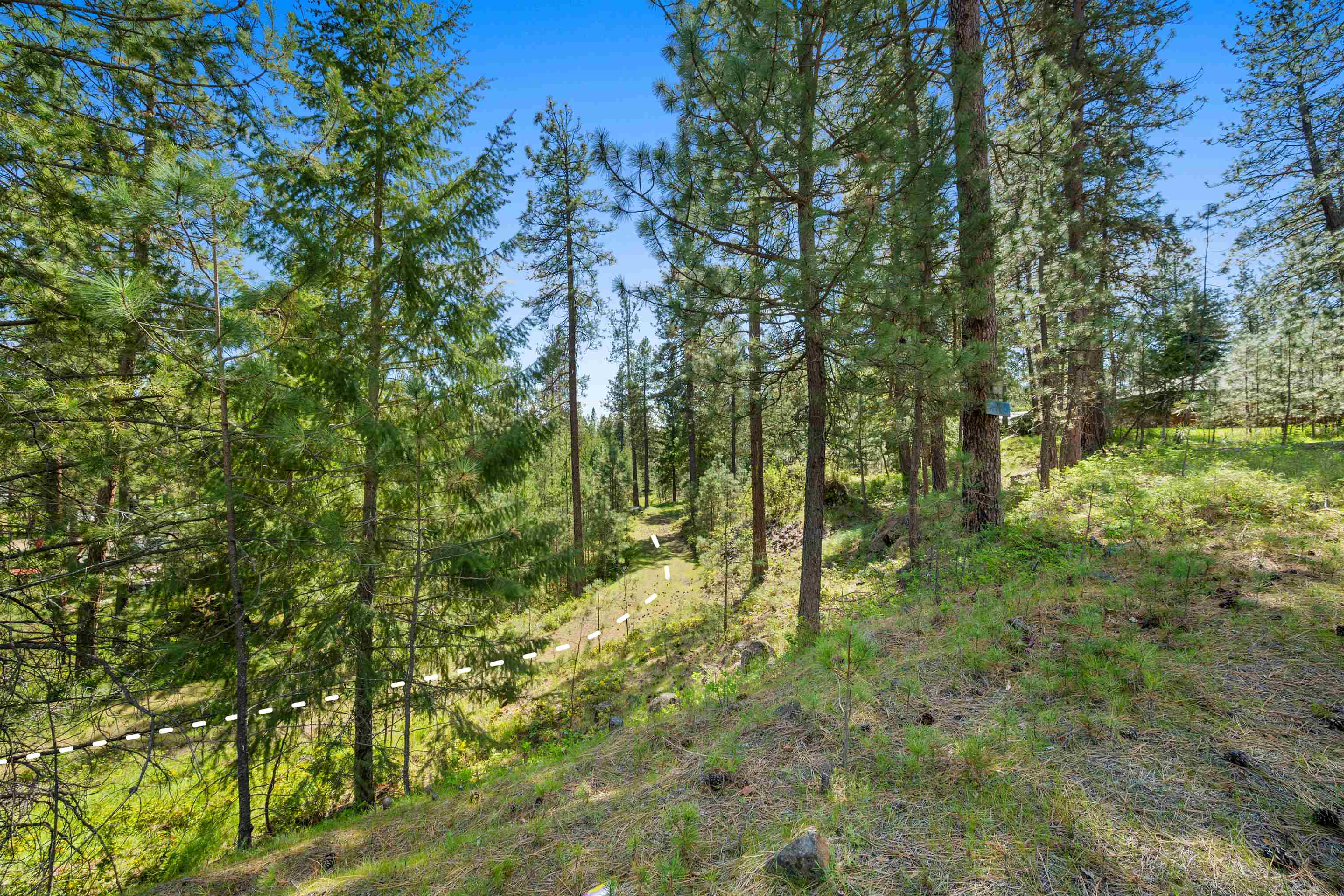 230-xx North Crescent Road Colbert, WA 99005 - Photo 4 of 24