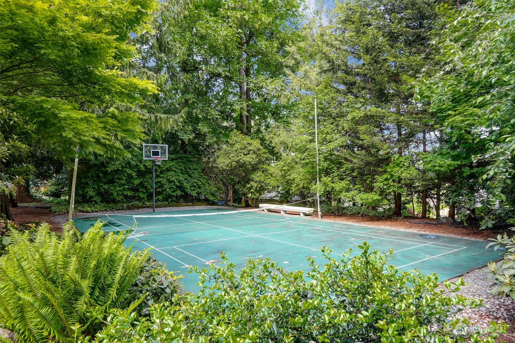 15629 Cascadian Way Bothell, WA 98012 - Photo 40 of 40 a view of a yard with plants and large trees