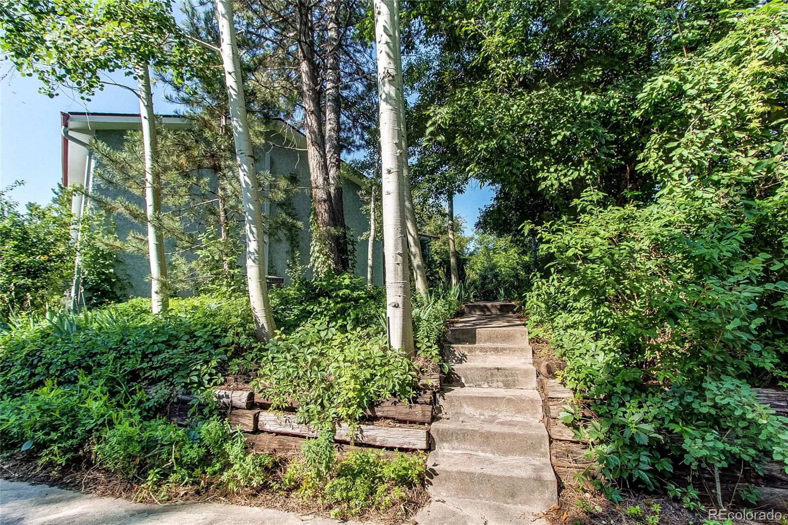 8888 West 37th Place Wheat Ridge, CO 80033 - Photo 12 of 40