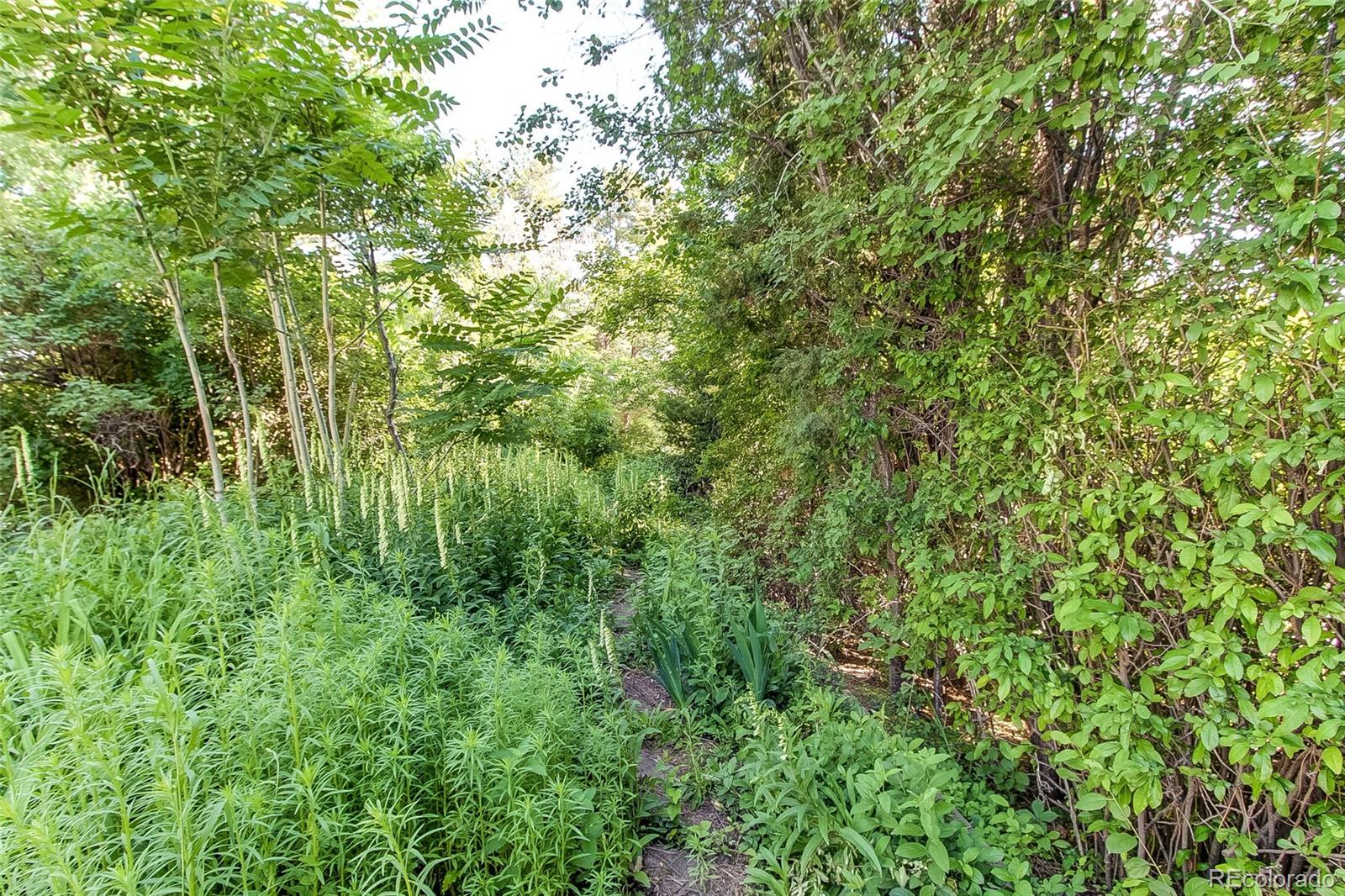 8888 West 37th Place Wheat Ridge, CO 80033 - Photo 14 of 40