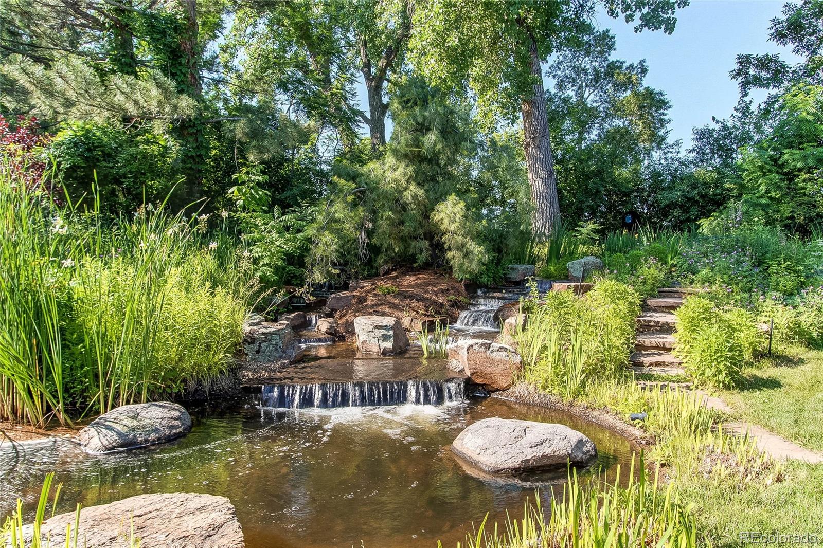8888 West 37th Place Wheat Ridge, CO 80033 - Photo 5 of 40