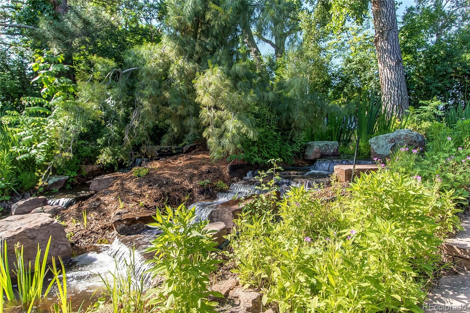 8888 West 37th Place Wheat Ridge, CO 80033 - Photo 6 of 40