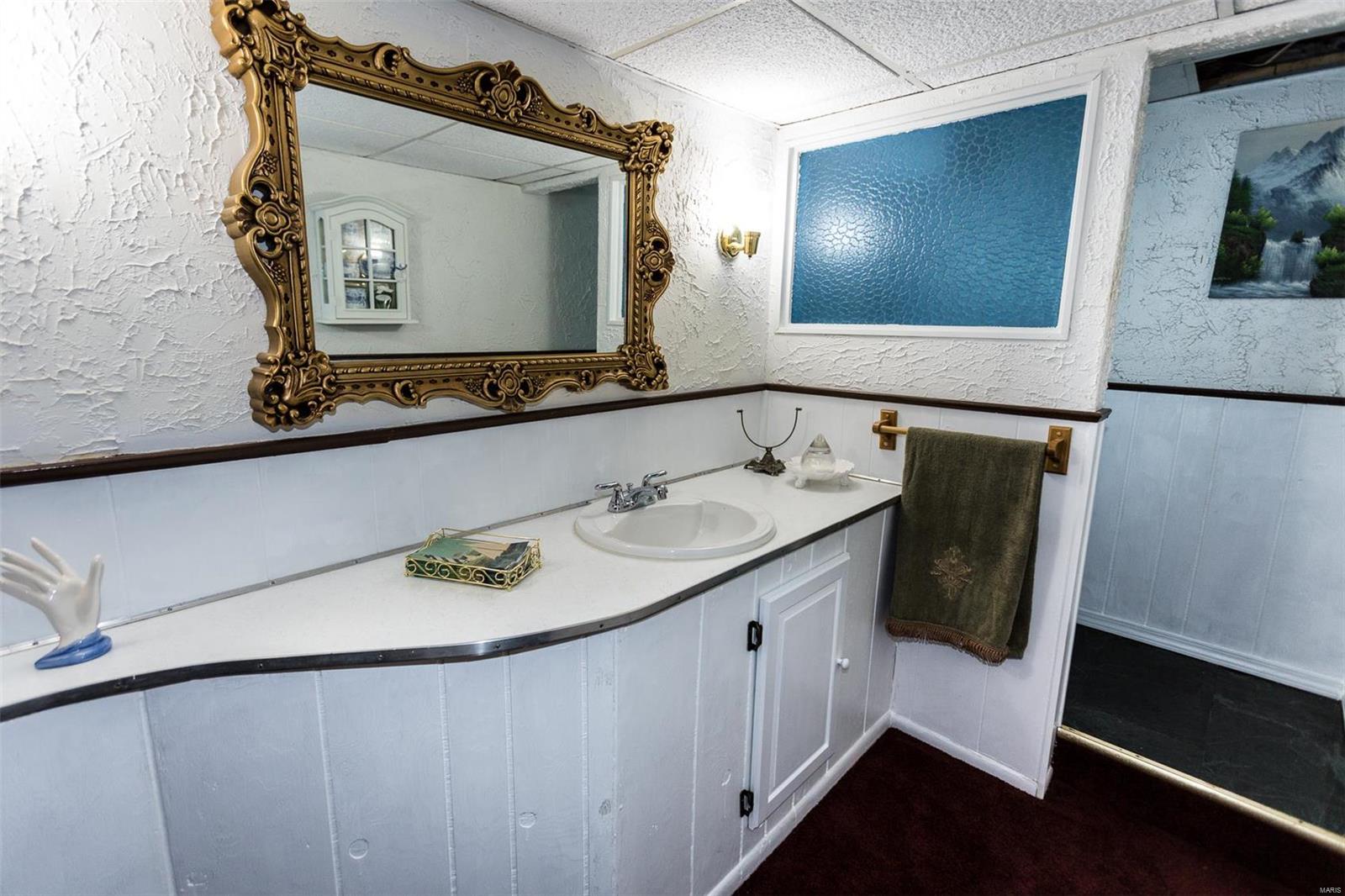 7309 Ravinia Drive St. Louis, MO 63121 - Photo 29 of 35 Gallery Image 29