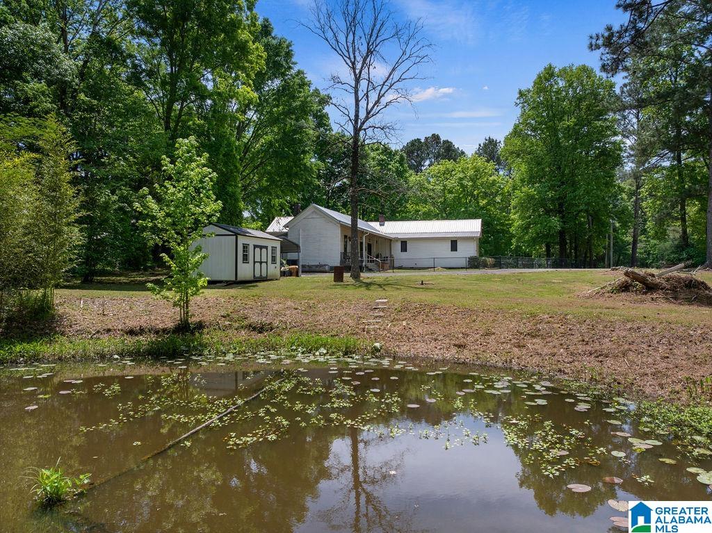 2199 Highway 23 Springville, AL 35146 - Photo 13 of 14