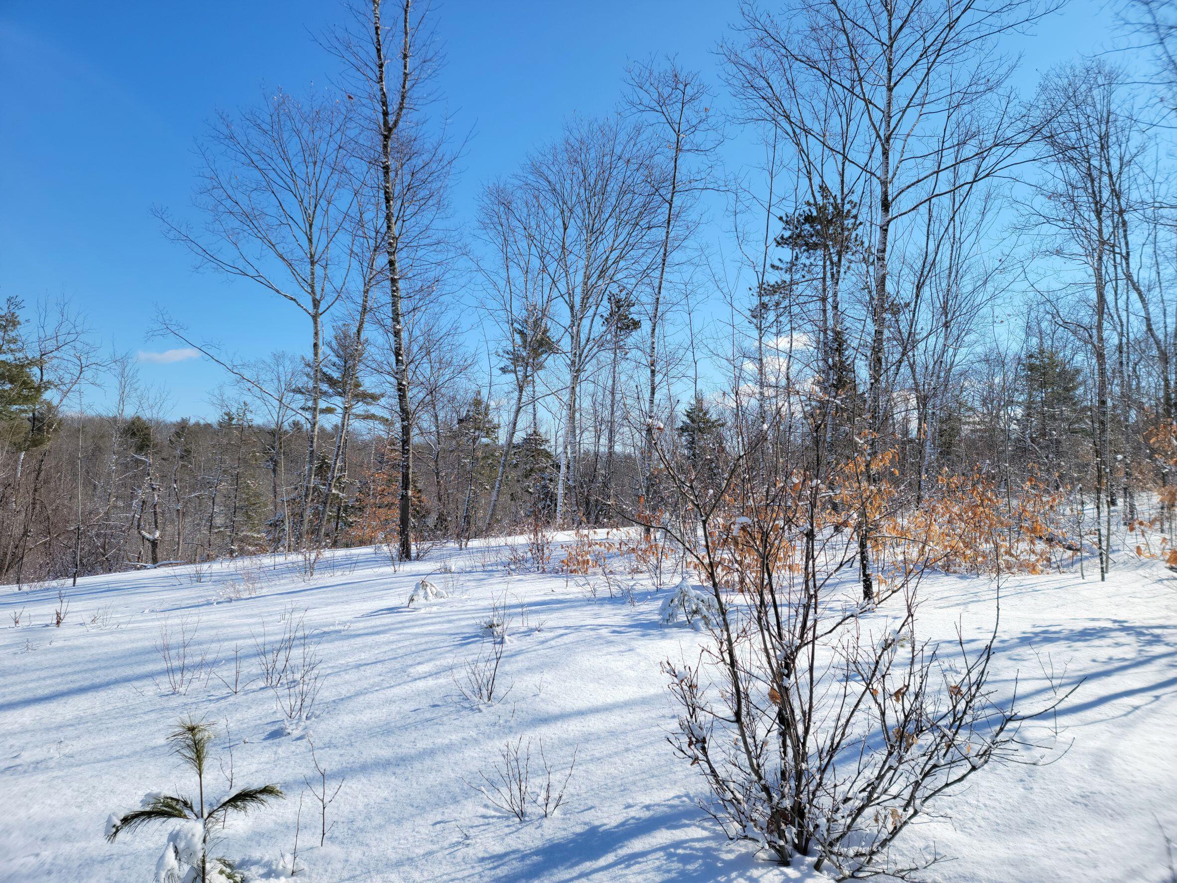 M8-l4 Ward Hill Road Troy, ME 04987 - Photo 9 of 11 Easterly View