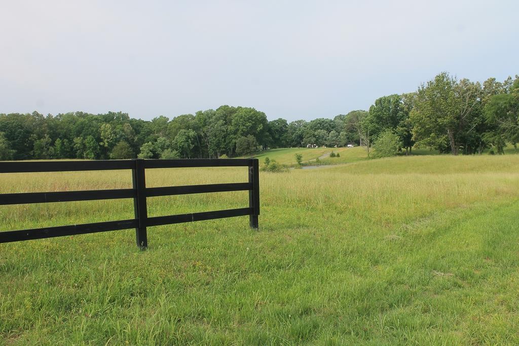 0 McCorkle Road Baneberry, TN 37890 - Photo 9 of 18