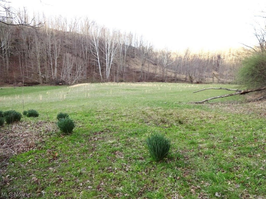 0 Triplett Road Spencer, WV 25276 - Photo 29 of 34