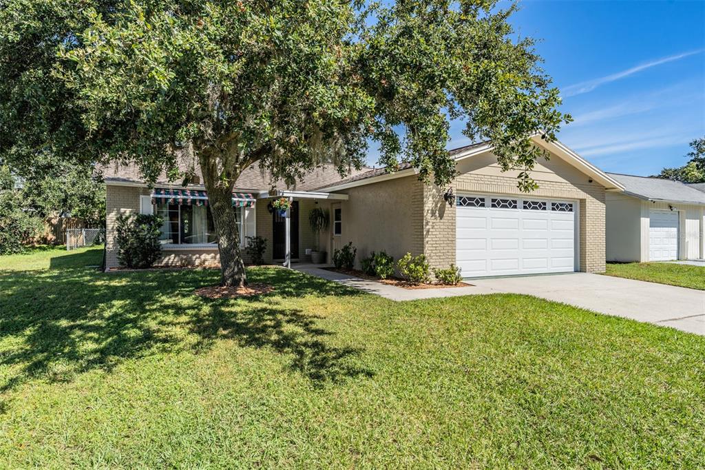 7709 Arlight Drive New Port Richey, FL 34655 - Photo 1 of 1