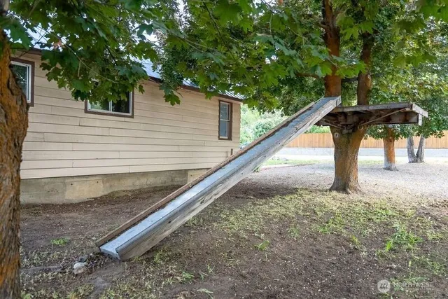 a view of a backyard with a large tree