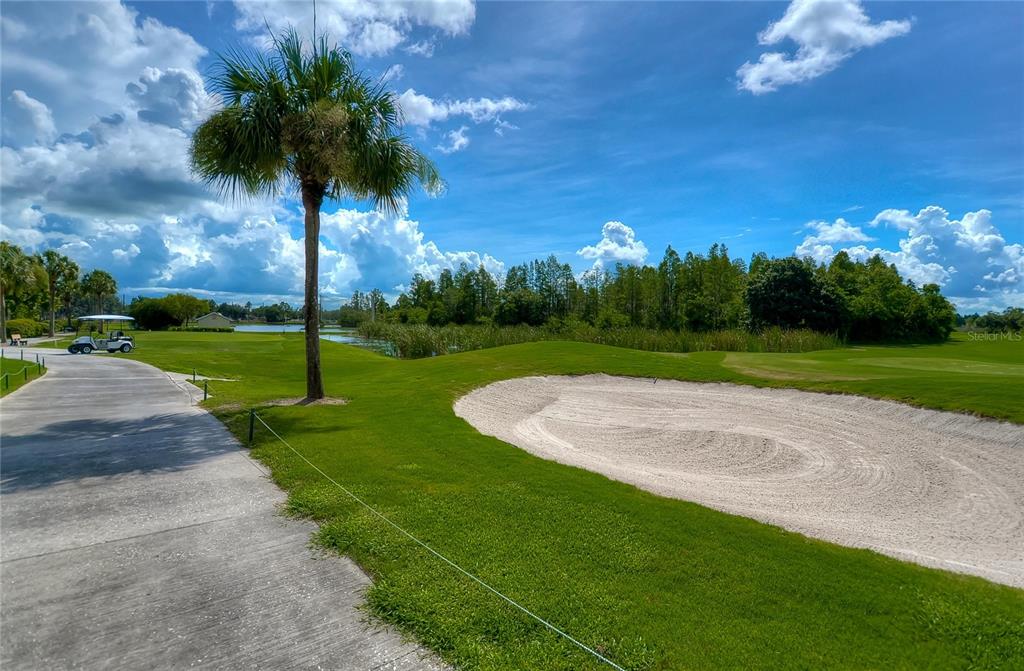 8049 Sanguinelli Road Land O Lakes, FL 34637 - Photo 29 of 33