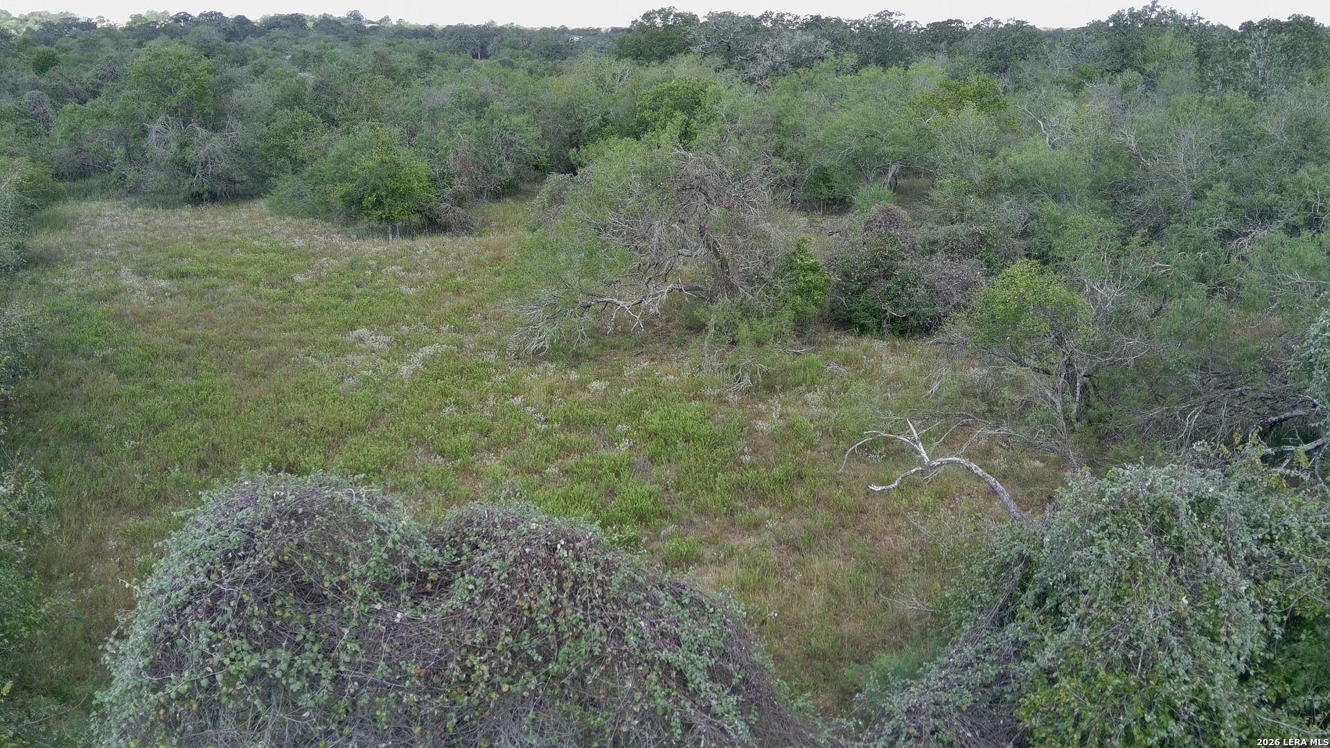 Tbd Tbd Dowdy Seguin, TX 78155 - Photo 9 of 13