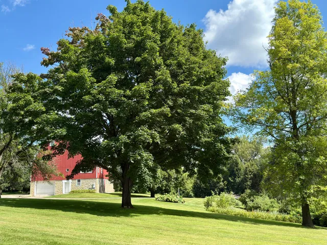 $1,290,000 | 12326 Falk Trail, Northfield, MN 55057