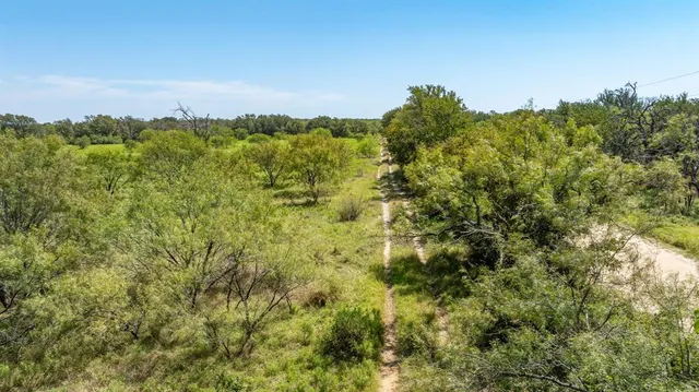 a view of a bunch of trees