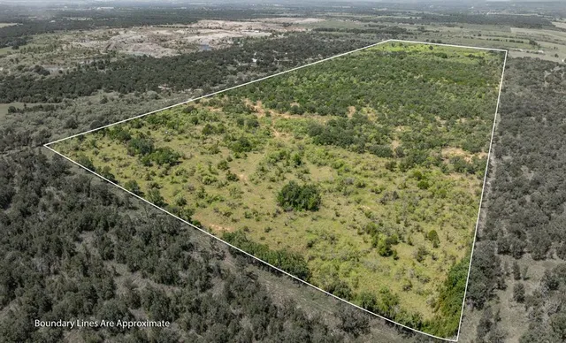 a view of a forest from a window