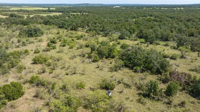 a view of a forest with a street