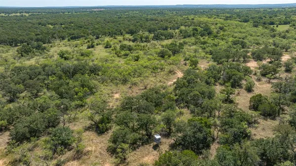 an aerial view of forest