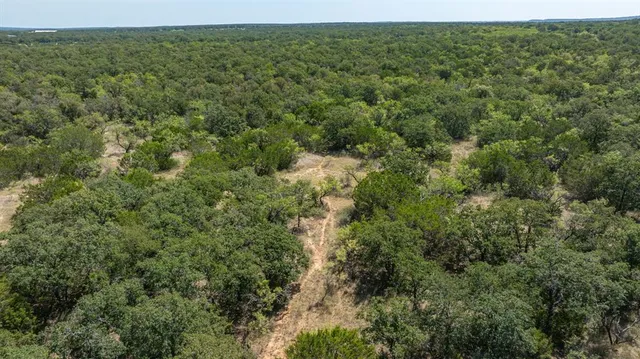 a view of a green field with lots of bushes