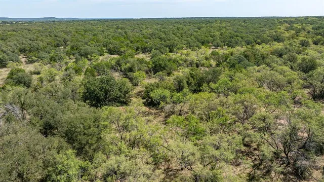 a view of a green field with lots of bushes