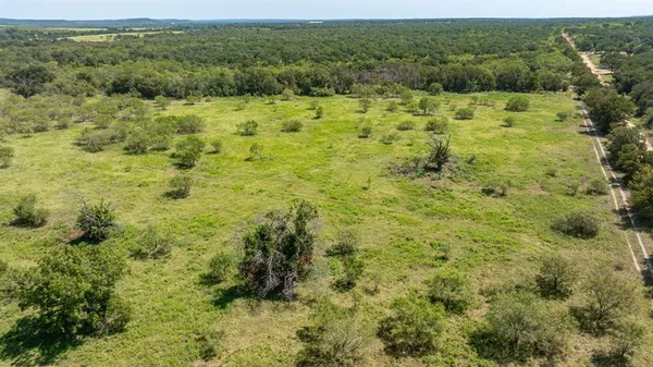a view of a green field with lots of bushes