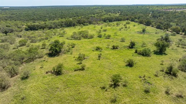 a large green field with lots of bushes