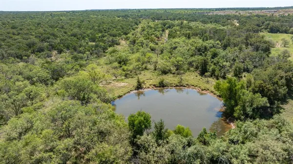 a view of a lake with a forest