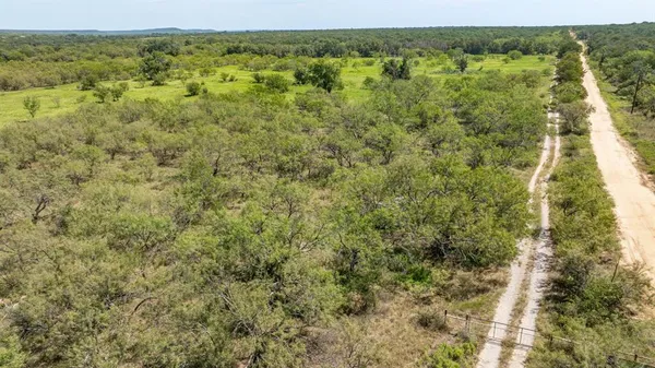 a view of a forest with an outdoor space