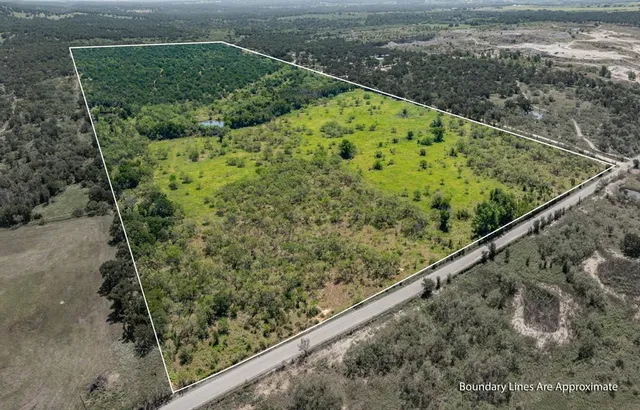 a view of a garden with plants