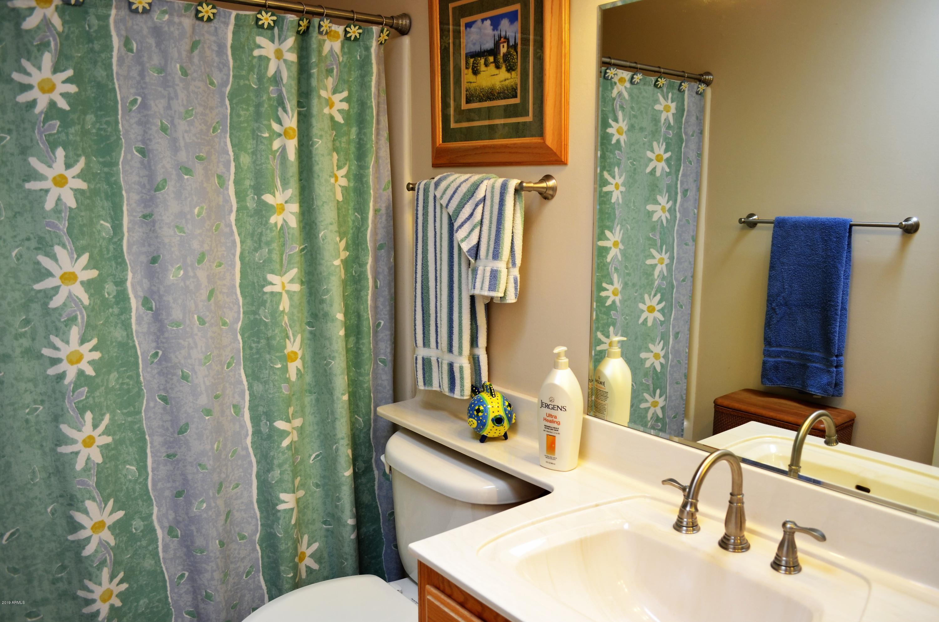10715 West Hatcher Road Sun City, AZ 85351 - Photo 23 of 35 23 Hall Bathroom