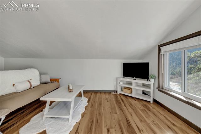 4580 Hagerman Road Cascade, CO 80809 - Photo 26 of 33