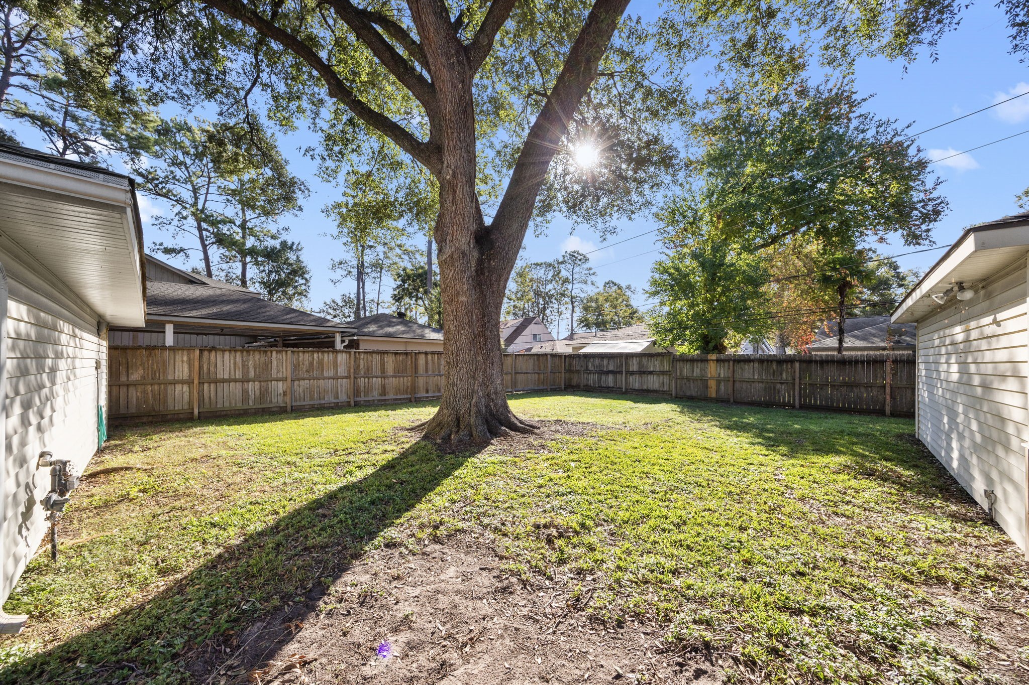 11223 Oak Spring Drive Houston, TX 77043 - Photo 28 of 32 Beautiful backyard.