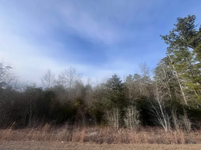 $21,999 | Tbd Retired Avenue, Marion, SC 29571