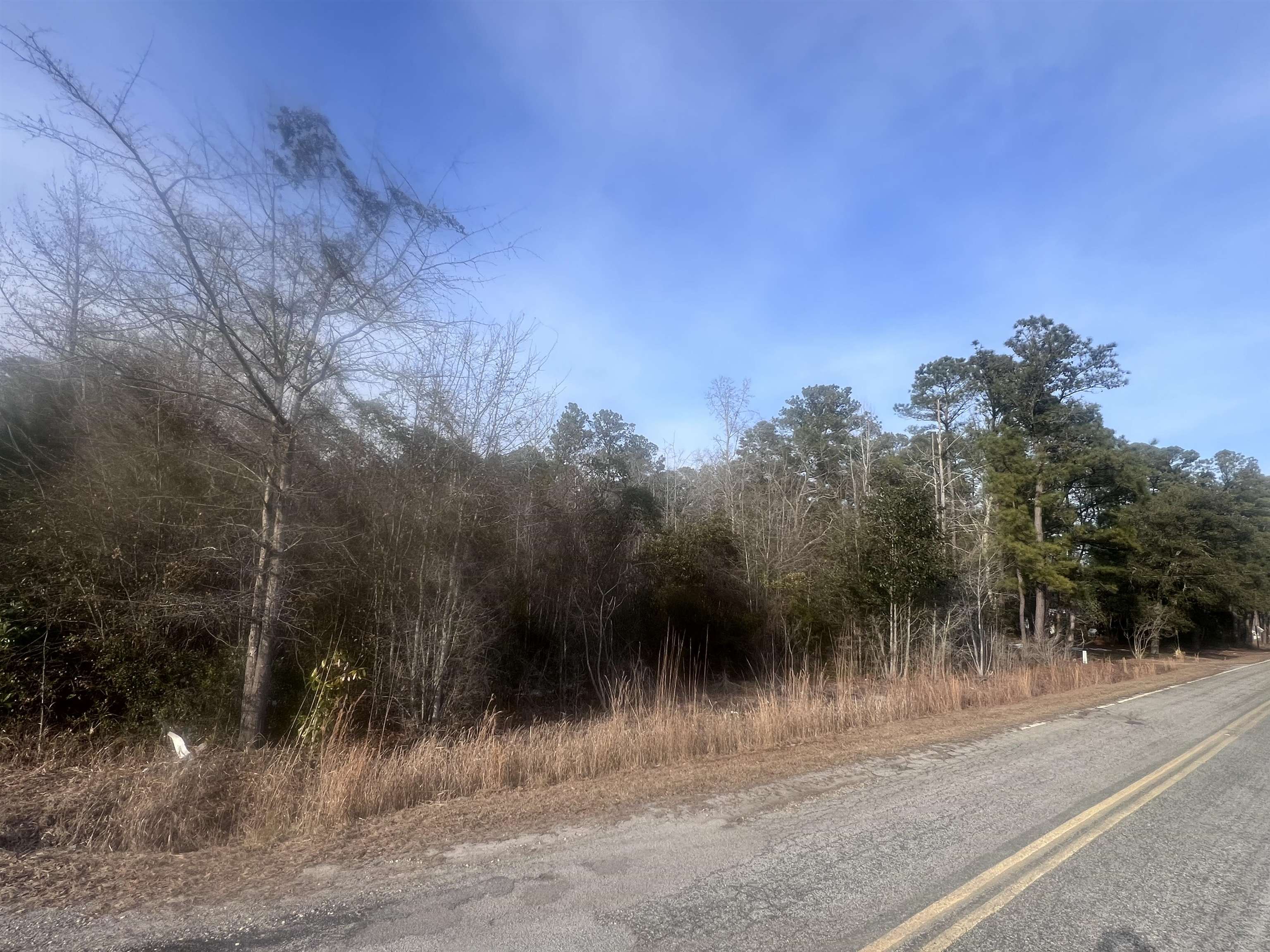 Tbd Retired Avenue Marion, SC 29571 - Photo 2 of 3