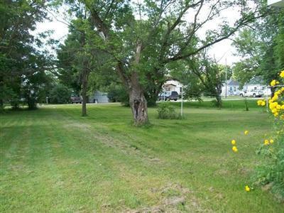 431 Todd Street Reed City, MI 49677 - Photo 4 of 4 Additional Photo