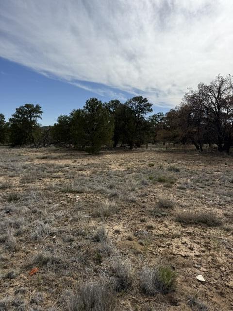 113 Rockhouse Road Ramah, NM 87357 - Photo 9 of 20 Gallery Image 9