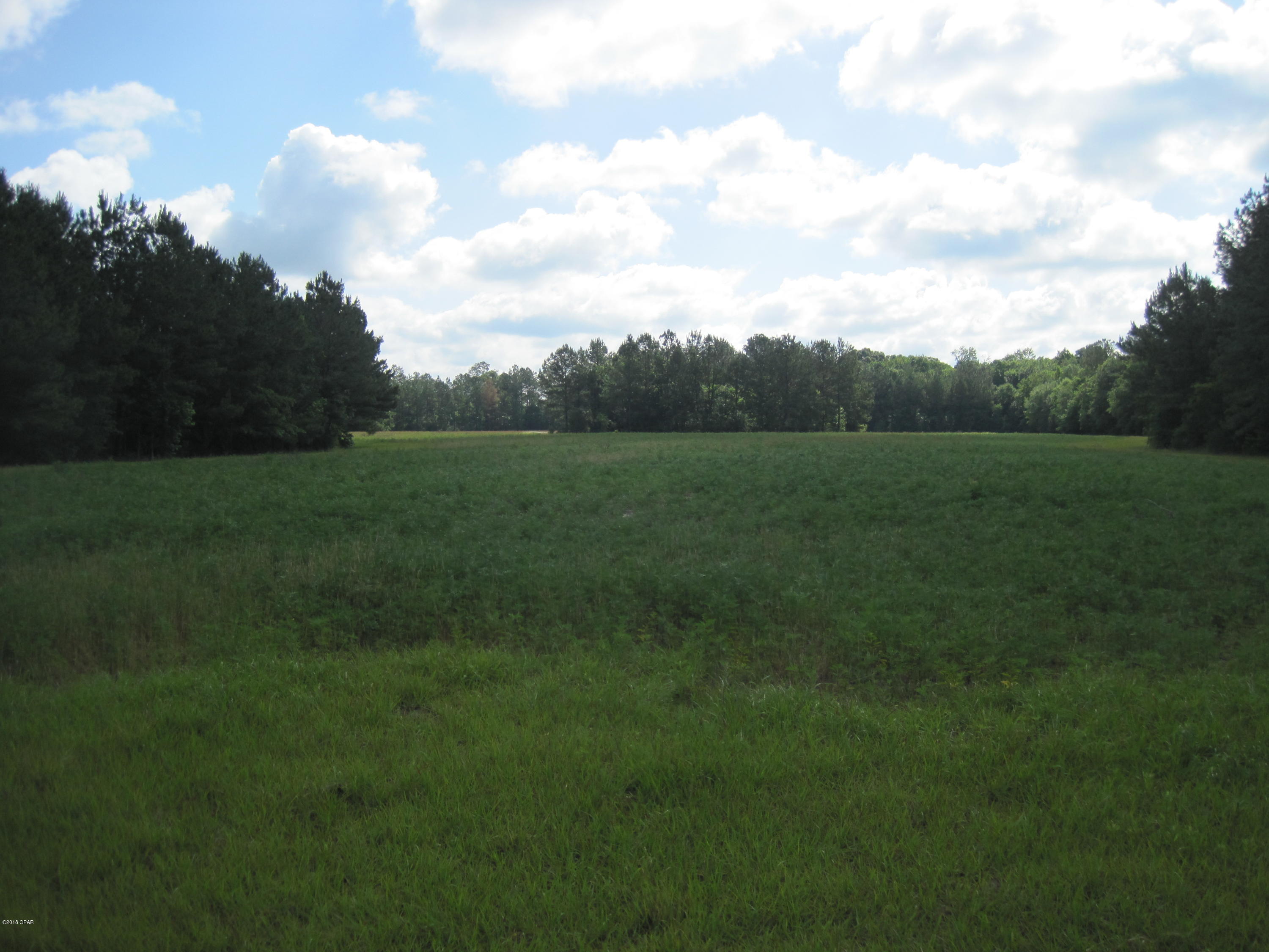 3157 Johnson Road Bonifay, FL 32425 - Photo 52 of 57 Gallery Image 52