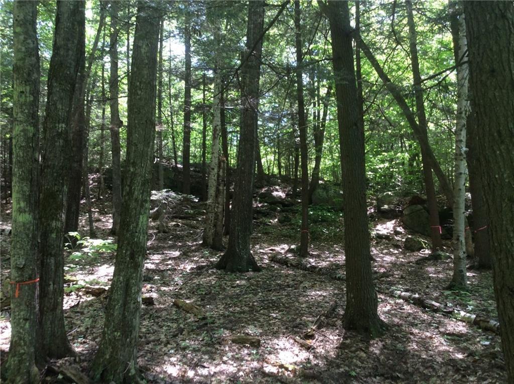 1 Rocky Road China, ME 04358 - Photo 2 of 5 Photo