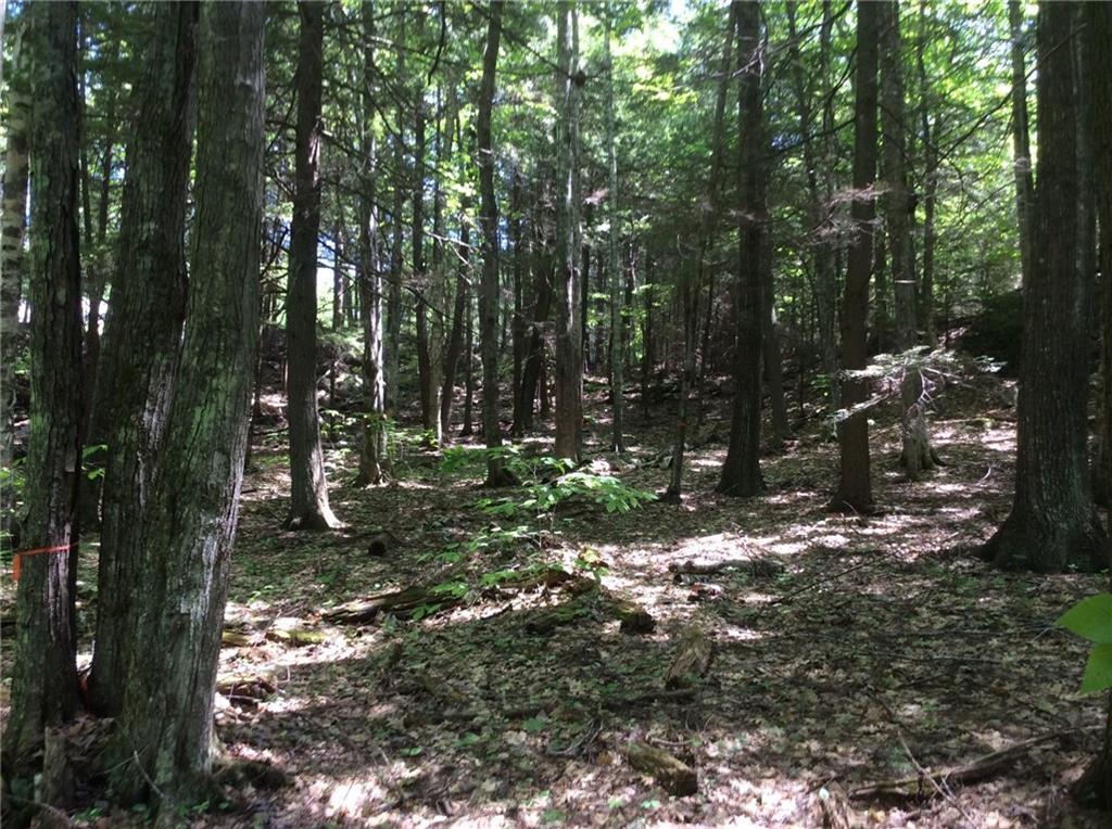 1 Rocky Road China, ME 04358 - Photo 4 of 5 Photo