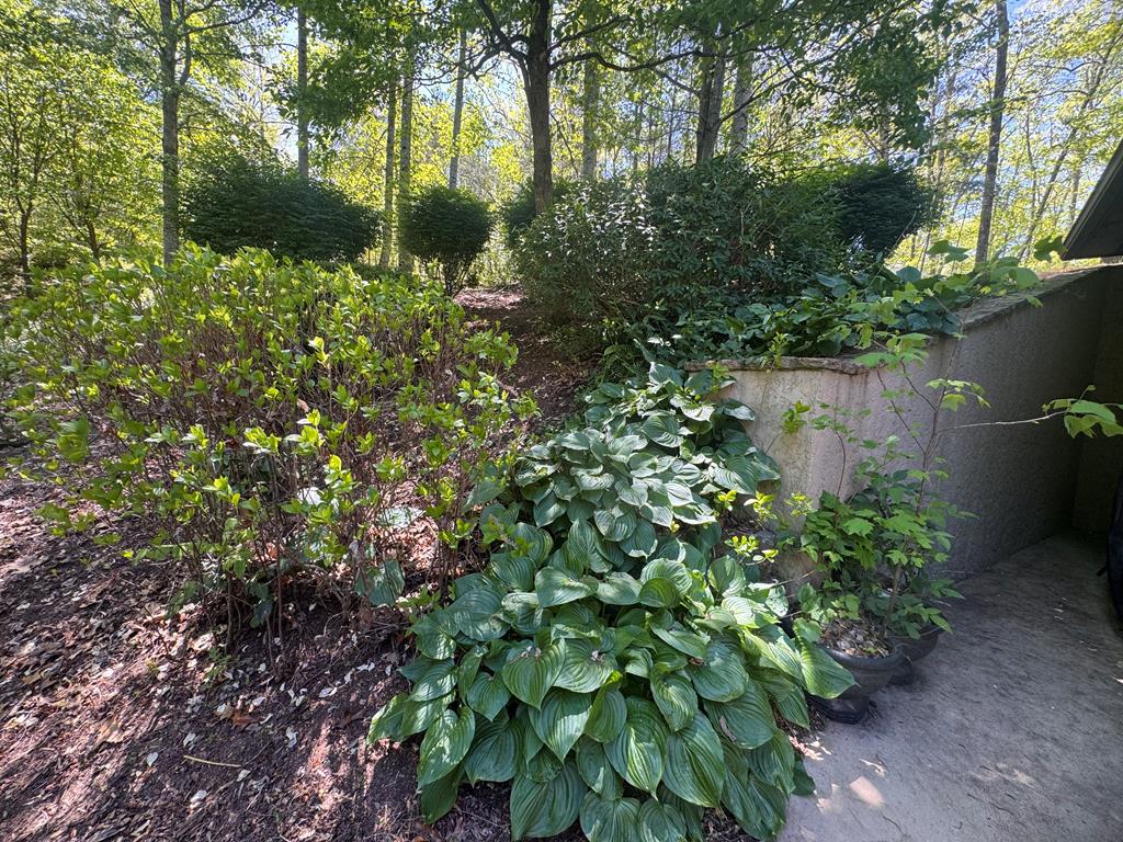 197 Eagles View Road Hayesville, NC 28904 - Photo 52 of 70