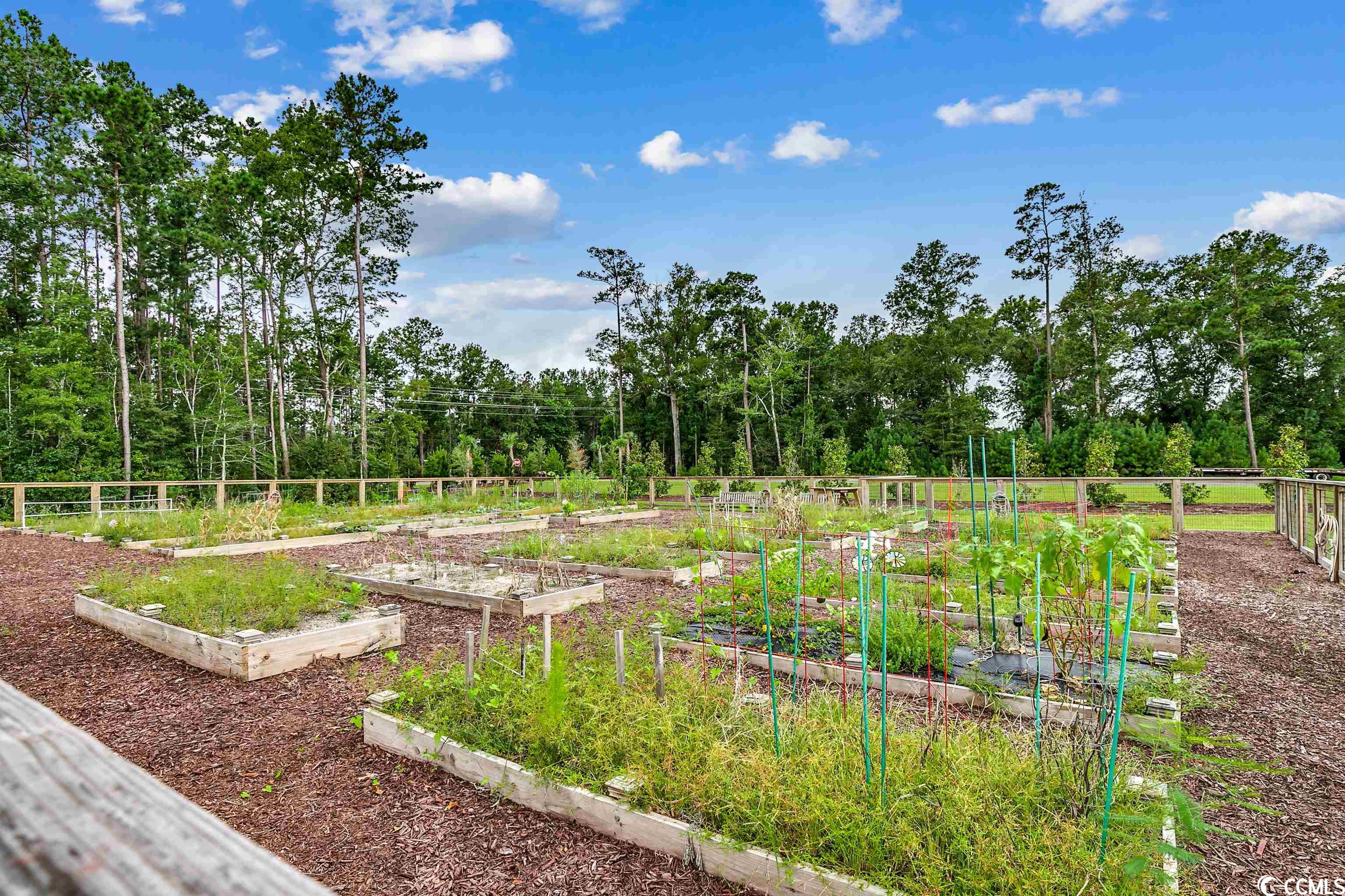 315 HARBISON Circle Myrtle Beach, SC 29579 - Photo 38 of 38