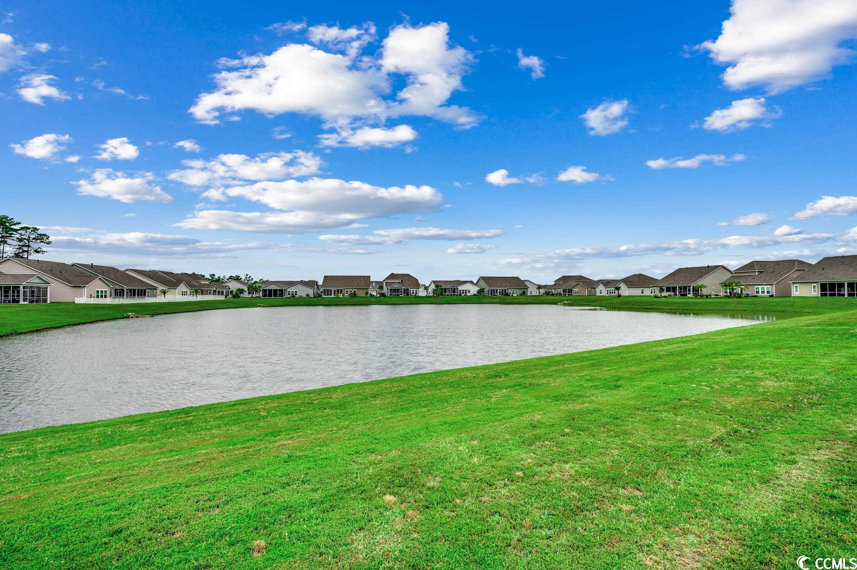 315 HARBISON Circle Myrtle Beach, SC 29579 - Photo 4 of 38