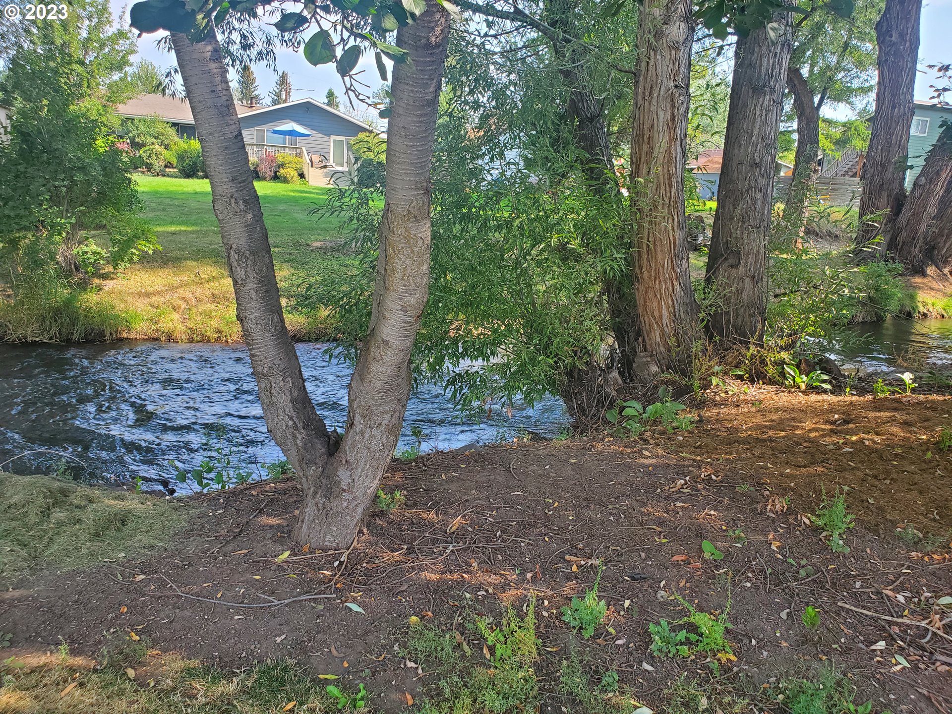 502 Southeast Evans Lane Enterprise, OR 97828 - Photo 4 of 18 a view of a tree in the forest
