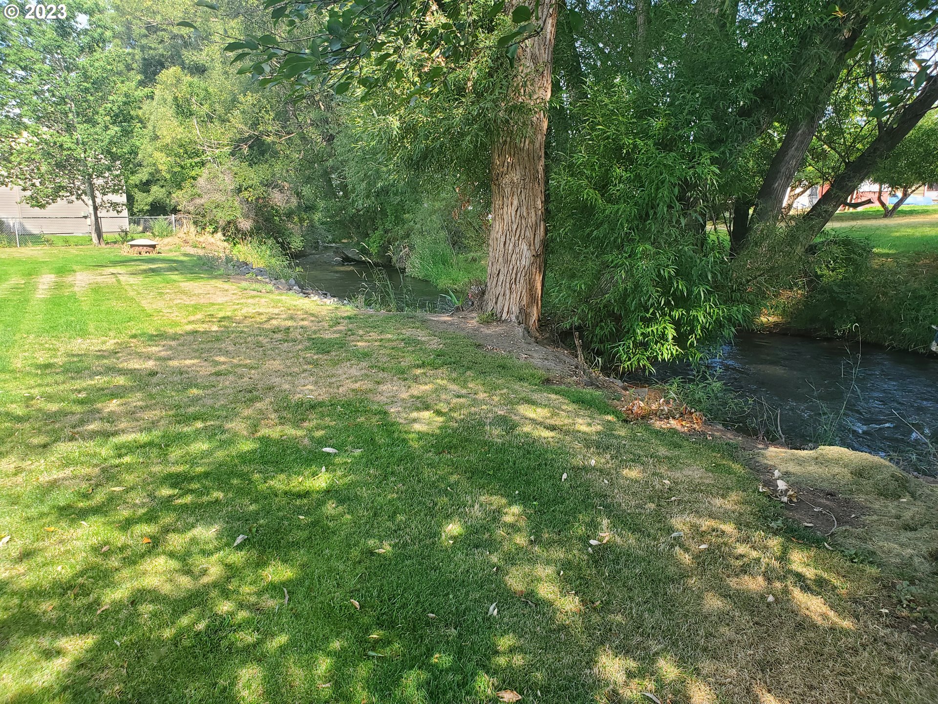 502 Southeast Evans Lane Enterprise, OR 97828 - Photo 6 of 18 a view of a yard with a tree