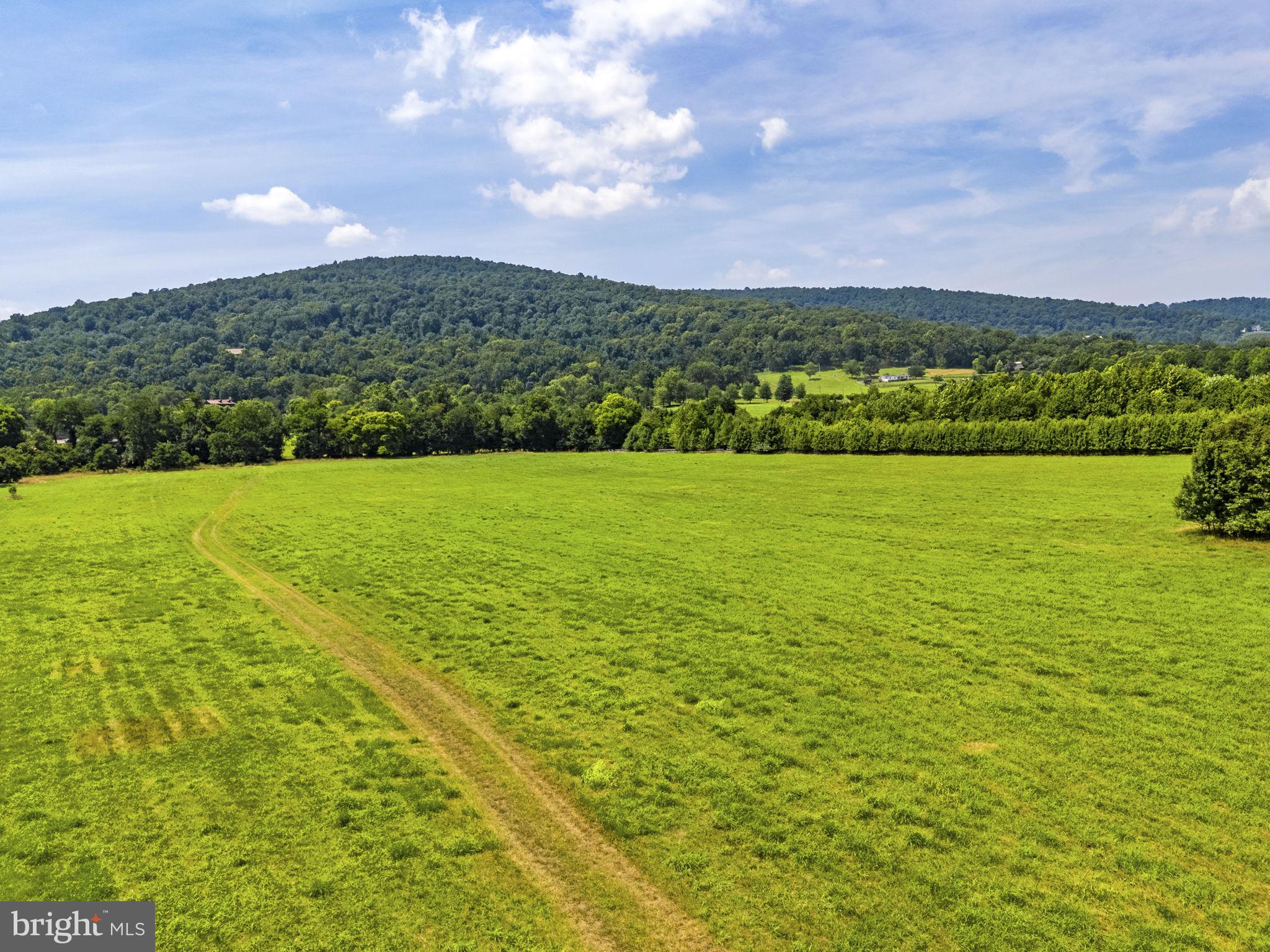0 Austin Grove Road Bluemont, VA 20135 - Photo 12 of 43 Gallery Image 12