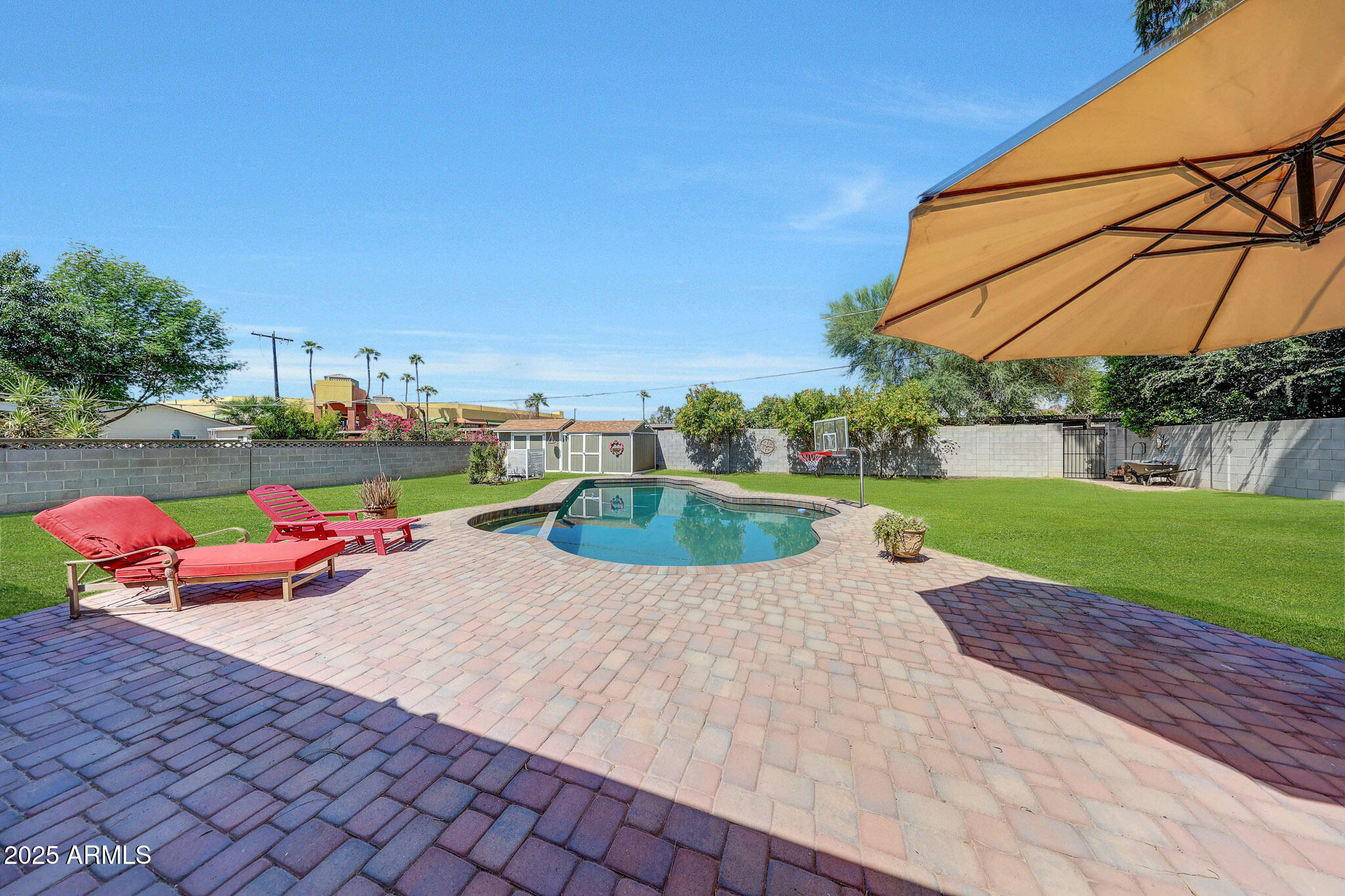 4108 East Edgemont Avenue Phoenix, AZ 85018 - Photo 50 of 118 GRASS (11)